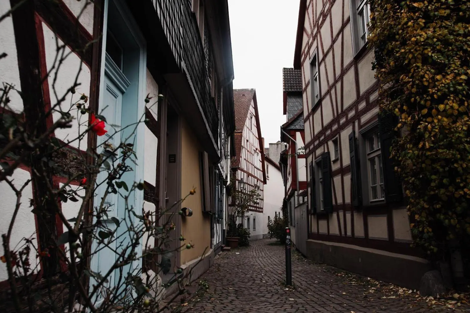 Stilvoll In Frankfurt Hoechst - Feeling At Home Frankfurt am Main 0*,